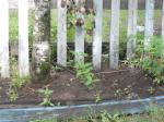 DSC01350.JPG