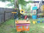 DSC01353.JPG