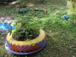 DSC01360.JPG